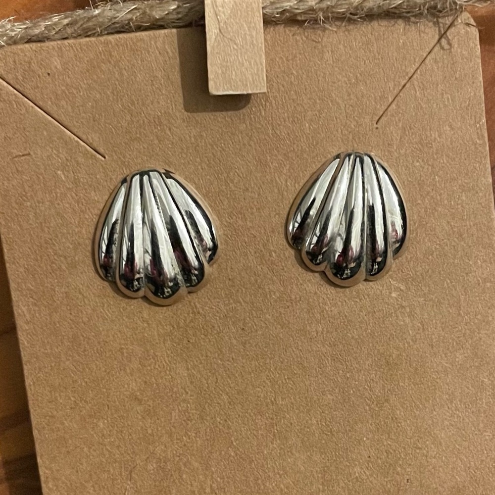 Chic Silver Shell Earrings